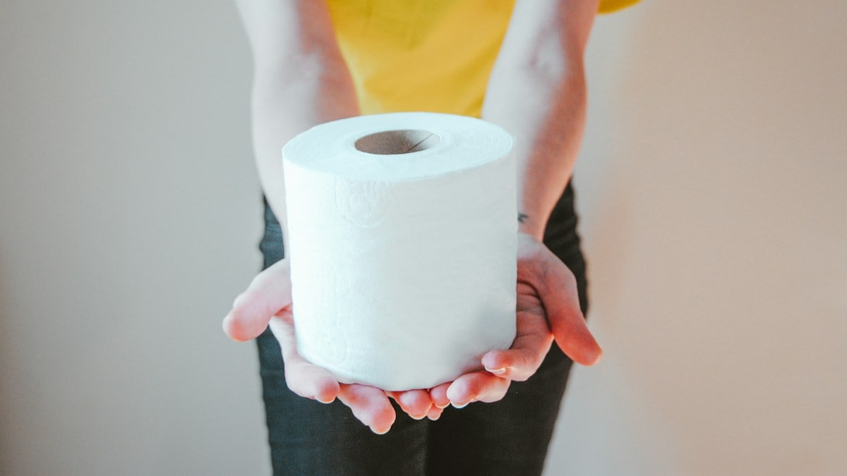 There's been a lot of odd behaviour in the UK the last couple of weeks with the Corona virus and the media sensationalising - panic buying, mainly toilet rolls has become a thing, for reasons we're all trying to fathom - so here's me protecting my 4 😂